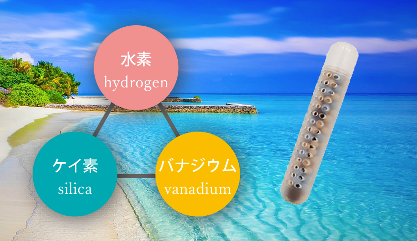 3つのミネラル同時吸収